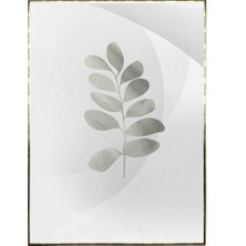 SHOP365 Bitki Yapraklar ve Şekiller Modern Poster P-002773