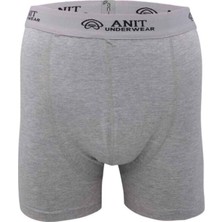 Anıt Kısa Paça Likralı Erkek Boxer Gri - 1115A