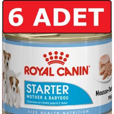 Royal Canin Starter Konserve Yavru Köpek Konservesi 6 Adet x 195 gr Mother Baby Dog