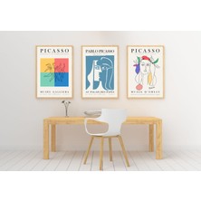 Tunç Botanik Pablo Picasso 3'lü Çerçevesiz Poster Duvar Tablosu Dnm3 30 x 40_D