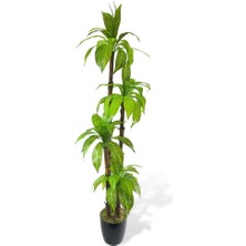 Nettenevime Yapay Ağaç Yukka 4katlı 180CM Salon Çiçeği Yapay Çiçek