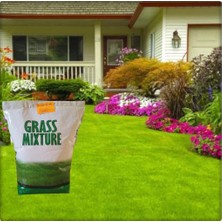 Grassmixture 6 Farklı Çim Tohumu Karışımı (2 Kg)