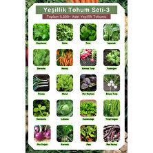 Yeşillik Tohum Seti-3, Toplam 5.000+ Adet Yeşillik Tohumu, 20 Çeşit Yeşillik Tohumu