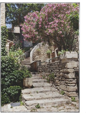 SHOP365 Fransa Ortaçağ Köyünde Sokak Merdivenleri Çiçekler Manzara Poster P-004518