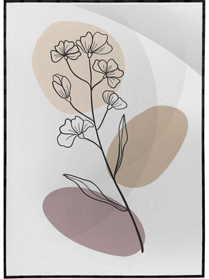 SHOP365 Çiçekler Bitki Botanik Illüstrasyon Poster P-000712