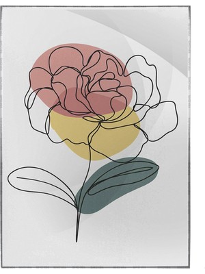 SHOP365 Çiçekler Bitki Botanik Illüstrasyon Poster P-000720