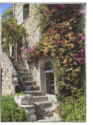 SHOP365 Fransada Bir Köy Evi Duvarları ve Çiçekler Manzara Poster P-004519
