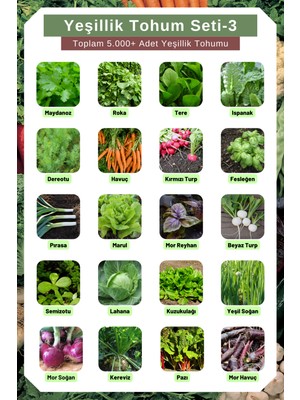 Yeşillik Tohum Seti-3, Toplam 5.000+ Adet Yeşillik Tohumu, 20 Çeşit Yeşillik Tohumu