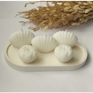 Candles Flame Şakayık Mum Istiridye Mum Kokulu 5 Li Altlıklı