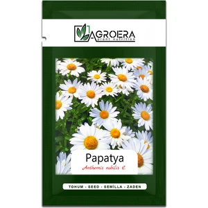 Tıbbi Aromatik Papatya Tohumu 100 Adet
