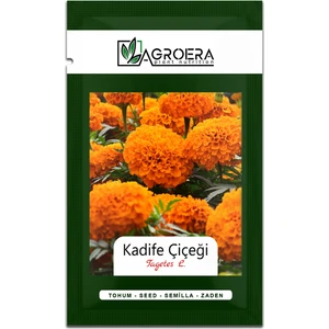 Bodur Kadife Çiçek Tohumu (Tagetes L.) 50 Adet