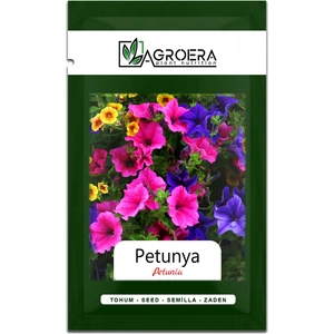 Petunya Boru Çiçeği 100 Adet