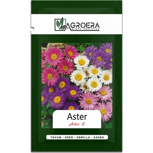 Süs Bitkisi Aster Çiçek Tohumu 50 Adet