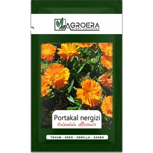 Portakal Nergisi - Aynı Sefa (Calendula Officinalis) Çiçek Tohumu 100 Adet