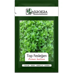 Top Fesleğen - Top Reyhan (Ocimum Basilicum) Çiçek Tohumu 100 Adet