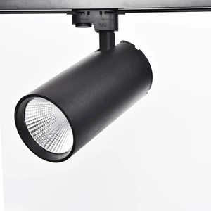 Mimar Led Silindir Philips Ledli 30W Monofaze Siyah Ray Spot