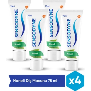 Naneli Diş Macunu 75 ml x4