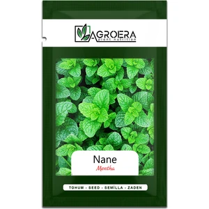 Nane (Mentha) Çiçek Tohumu 100 Adet