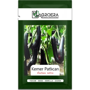 Kemer Patlıcan Tohumu 250 Adet