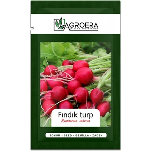 Fındık Turp Tohumu 500 Adet