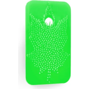 Sihirli Koku Yaprağı Spring