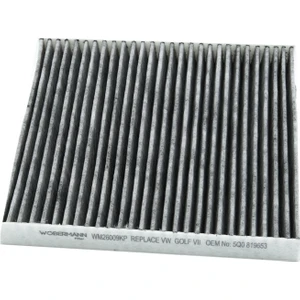 Audi A3 1.6 Tdi 2012 - 2019 Karbonlu Polen Filtresi