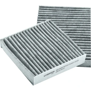 Peugeot 208 1.2 2012 - 2019 Karbonlu Polen Filtresi