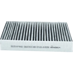Bmw 1 116 D 2010 - 2019 Karbonlu Polen Filtresi
