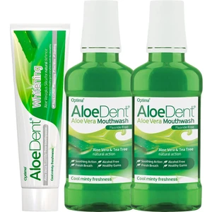 Aloevera Ekstra Diş Macunu 100 ml + Alkolsüz ve Florürsüz Ağız Kokusu Önleyici Ağız Bakım Suyu 250 ml x 2