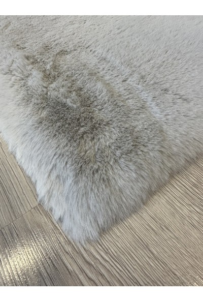 Allstar Carpet Modern Tavşan Tüyü Yumuşacık Tüy Dökmez Peluş Halı Gri