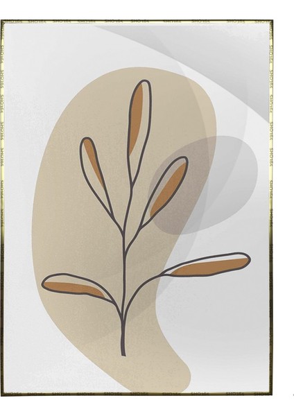 Doğa Bitki Modern Illüstrasyon Poster P-002625
