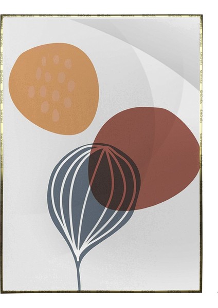 Bitki ve Şekiller Poster P-002673