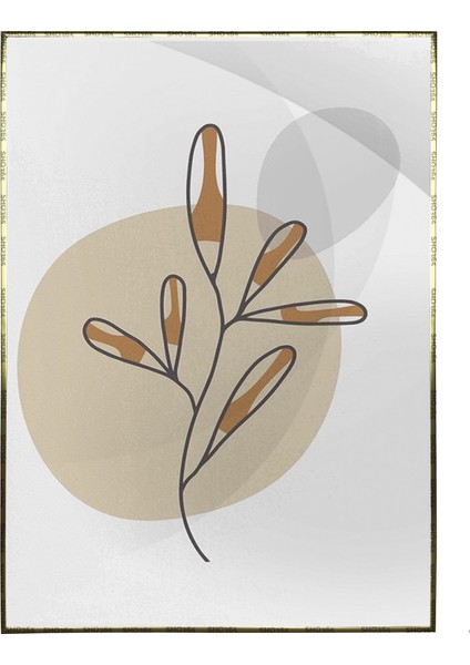 Doğa Bitki Modern Illüstrasyon Poster P-002623