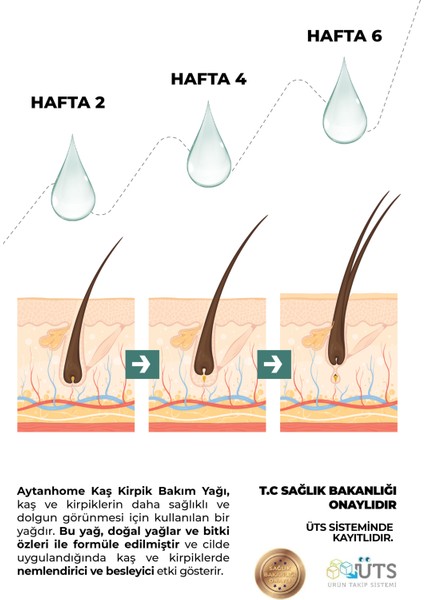 Aytan Home Bitkisel Kaş Kirpik Bakım Serumu (10 Doğal Karışım) Keratin ve Argan Yağlı 10ML