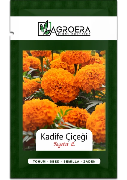 Bodur Kadife Çiçek Tohumu (Tagetes L.) 50 Adet