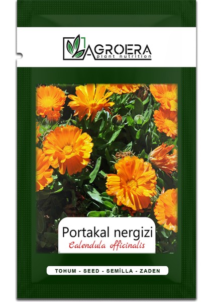 Portakal Nergisi - Aynı Sefa (Calendula Officinalis) Çiçek Tohumu 100 Adet