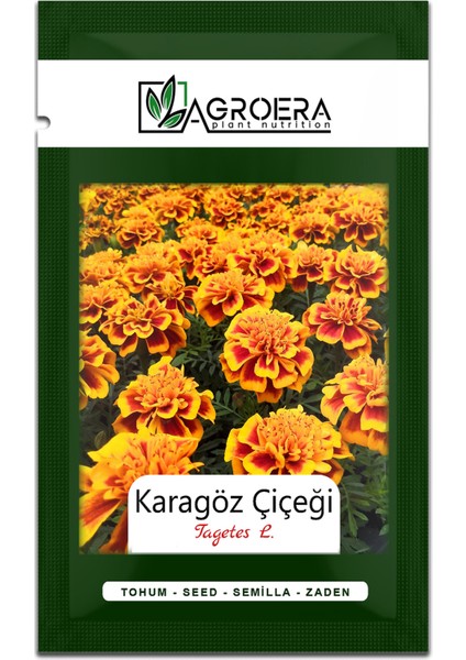 Karagöz Çiçek Tohumu 50 Adet