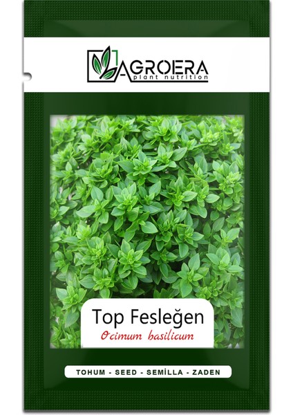 Top Fesleğen - Top Reyhan (Ocimum Basilicum) Çiçek Tohumu 100 Adet