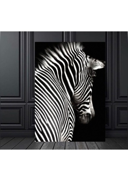 Zebra Dekoratif Kanvas Tablo 1009