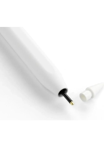 Apple Pencil Kalem Ucu 1 ve 2 Nesil Yedek Uç