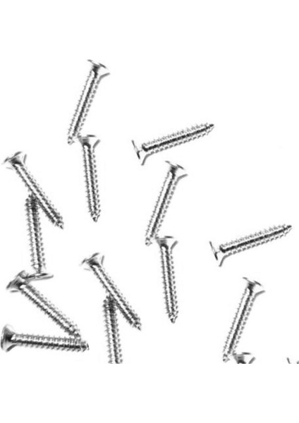 13 mm Mini Hobi Vidası Nikel 1000 Adet