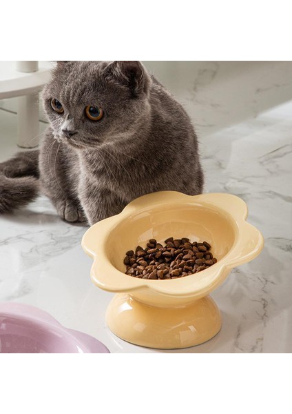 Seramik Uzun Kedi Haznesi Servikal Omurga Besleyiciyi Korur (Yurt Dışından) fiyatları