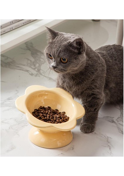 Seramik Uzun Kedi Haznesi Servikal Omurga Besleyiciyi Korur (Yurt Dışından) modelleri