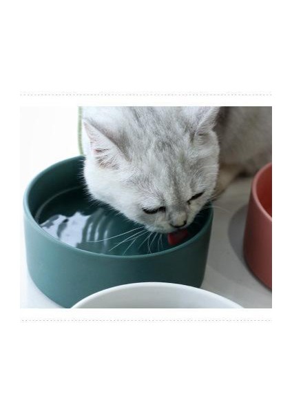 Seramik Kedi Haznesi Servikal Omurga Besleyiciyi Korur (Yurt Dışından) modelleri