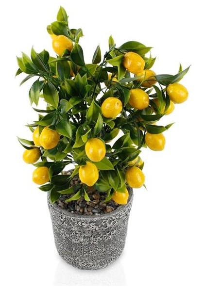 Rüzgar Yapay Çiçekçilik 35 cm Limon Ağacı