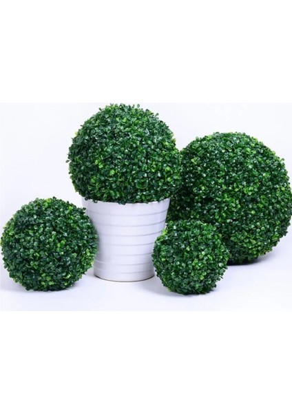 Rüzgar Yapay Çiçekçilik 28 cm Şimşir Top