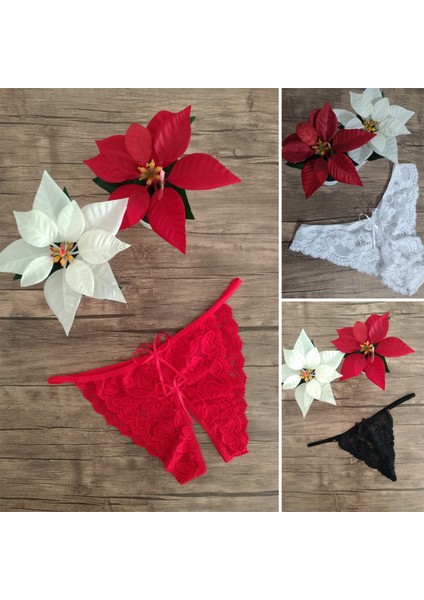 3&#039;LÜ Fantezi Dantel Erotik Sexy Kadın Külot 940