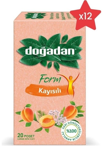 Form Çay Kayısılı 20'li x 12