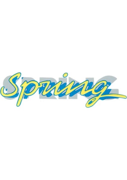 Oto Arma Yazı Renault Spring Kagıt (2 Adet)