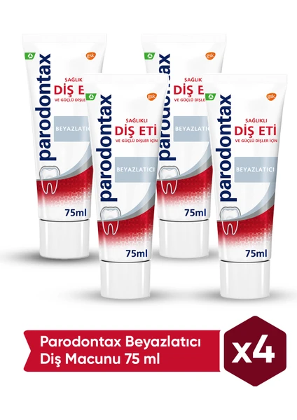 Diş Macunu 75 ml x 4